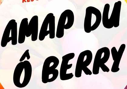 Amap du O Berry