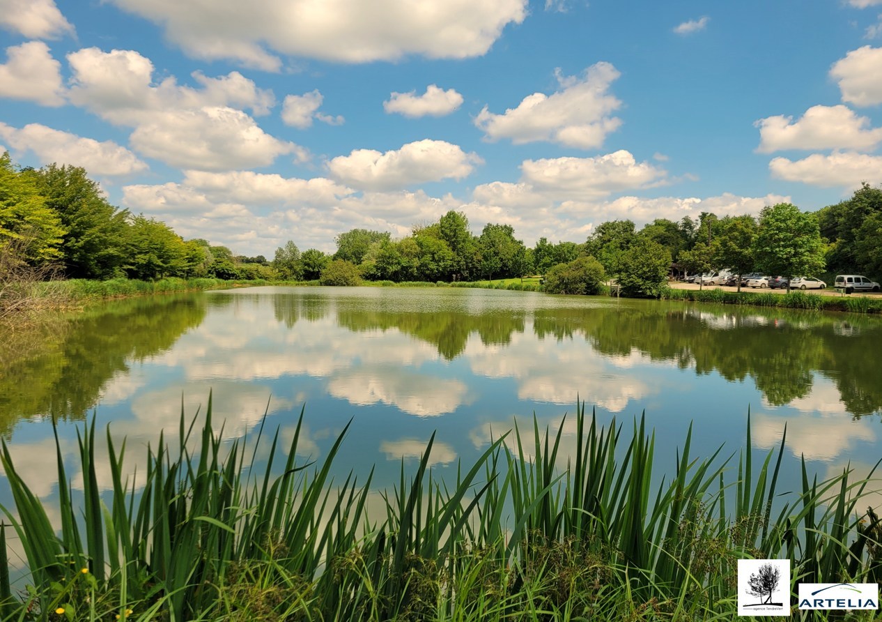 Etang farges artelia