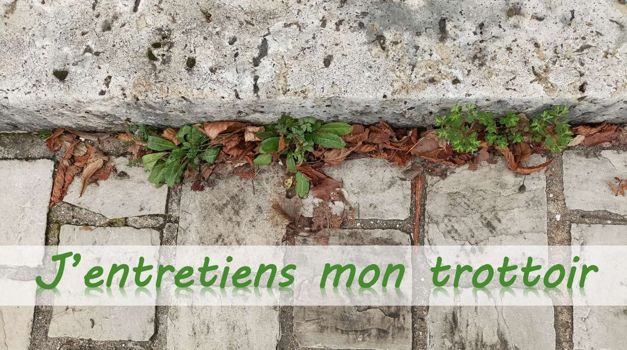 Jentretiens mon trottoir