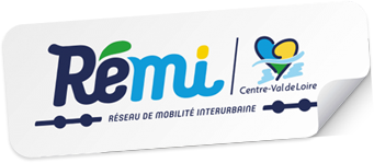 logo remi