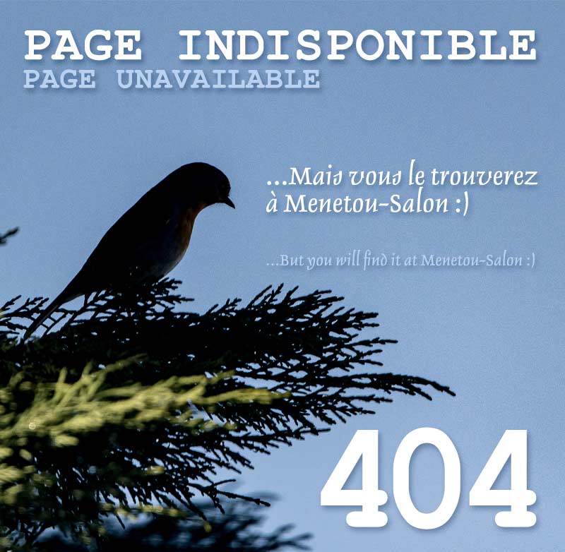 Erreur 404: page unavailable