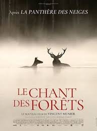 26.02.04_ chant des forets
